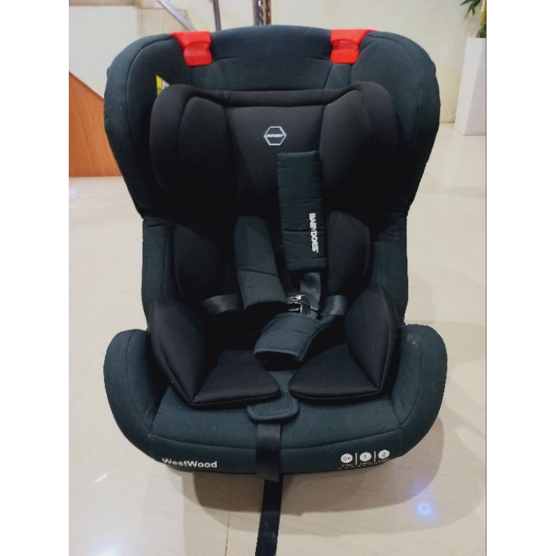 carseat babydoes