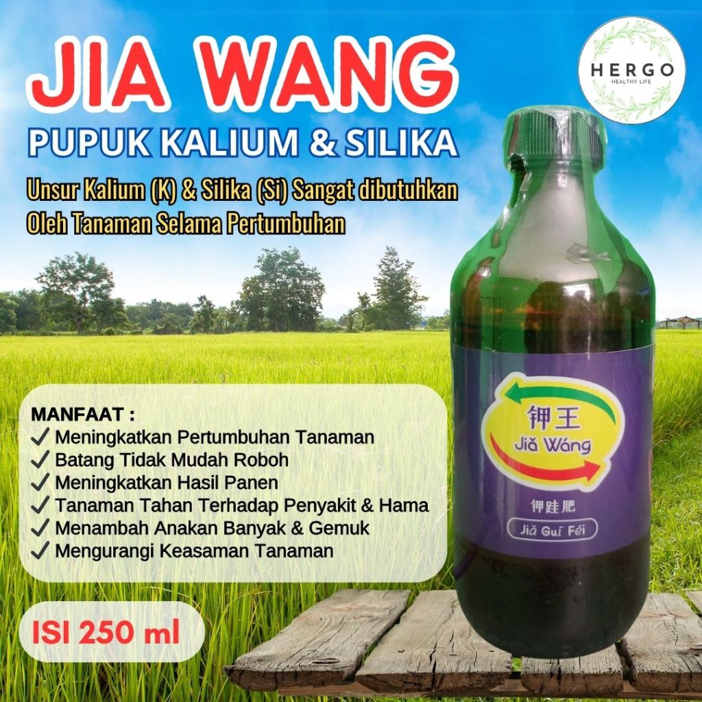 JIA WANG JiaWang - Rajanya Pupuk Kalium dan Silika untuk Mengatasi Padi Roboh, Membuat Pohon Tanaman