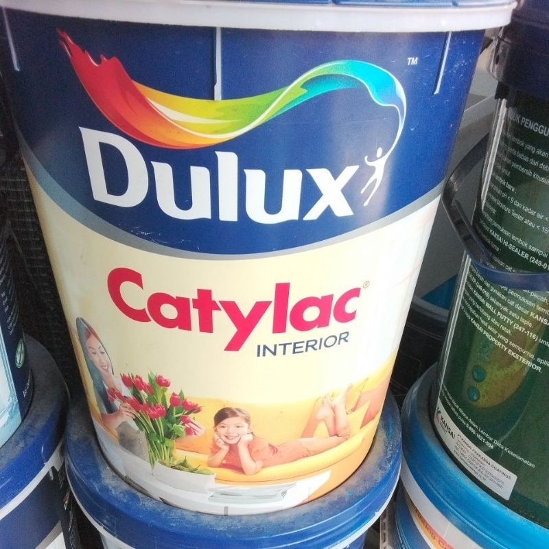 Cat Tembok Dulux Catylac Interior Putih 5 kg warna green romantic
