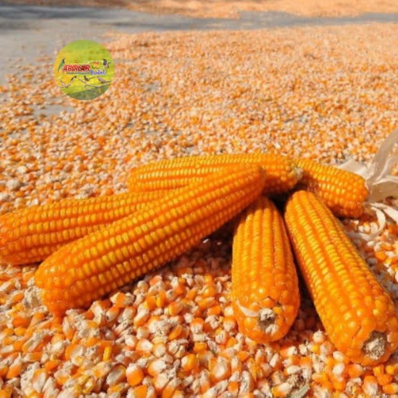 

jagung pipel 1kg abdilah berkah