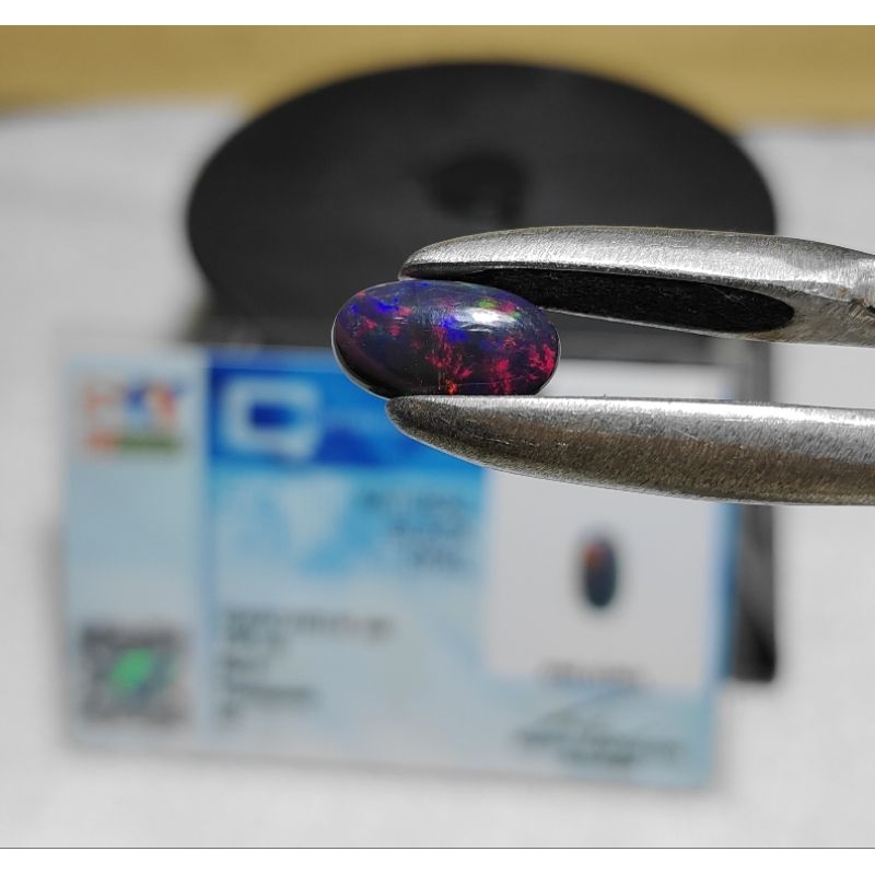 Batu Kalimaya Black Opal Natural 1.56 CTS BN202