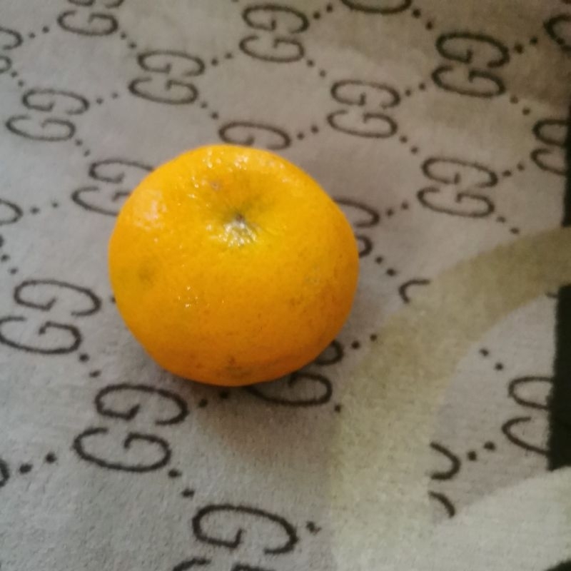 

jeruk buah asam