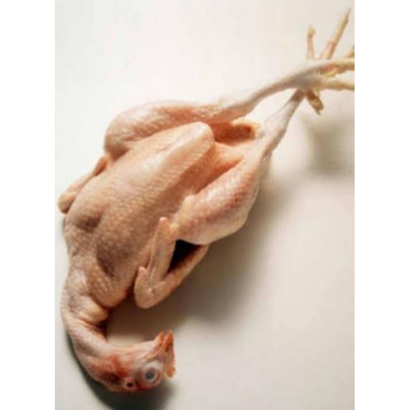 

Ayam utuhan include kaki+kepala.