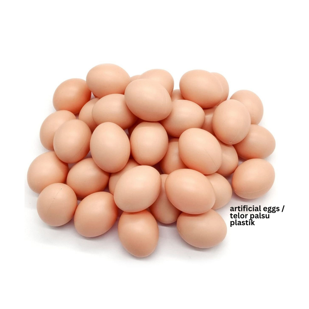 

TELOR / TELUR AYAM PALSU PLASTIK / ARTIFICIAL EGGS