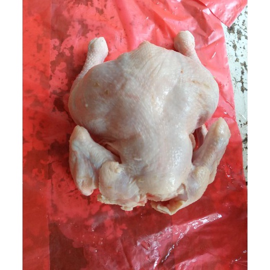 

88 ayam bROILER FROZEN 5 sd 6kg ayam broilerayam potongayam negri