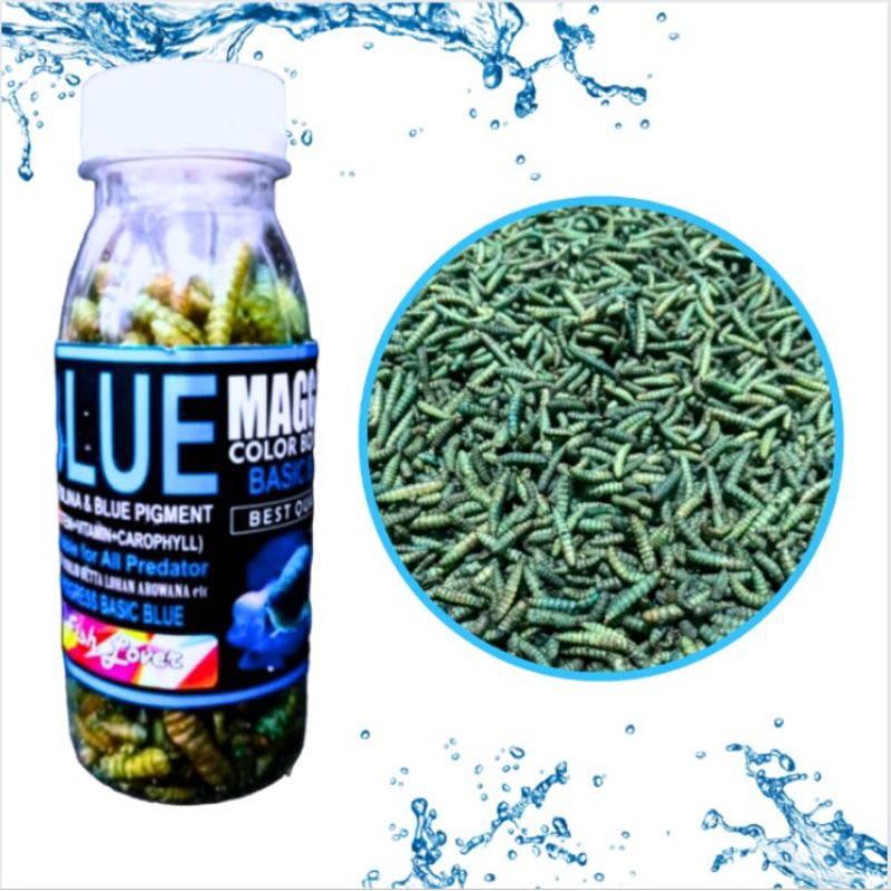 Makanan Ikan Predator Maggot Kering FISH LOVER RED BLUE YELLOW MAGGOT BOTOL COLOR BOOSTER 30gr