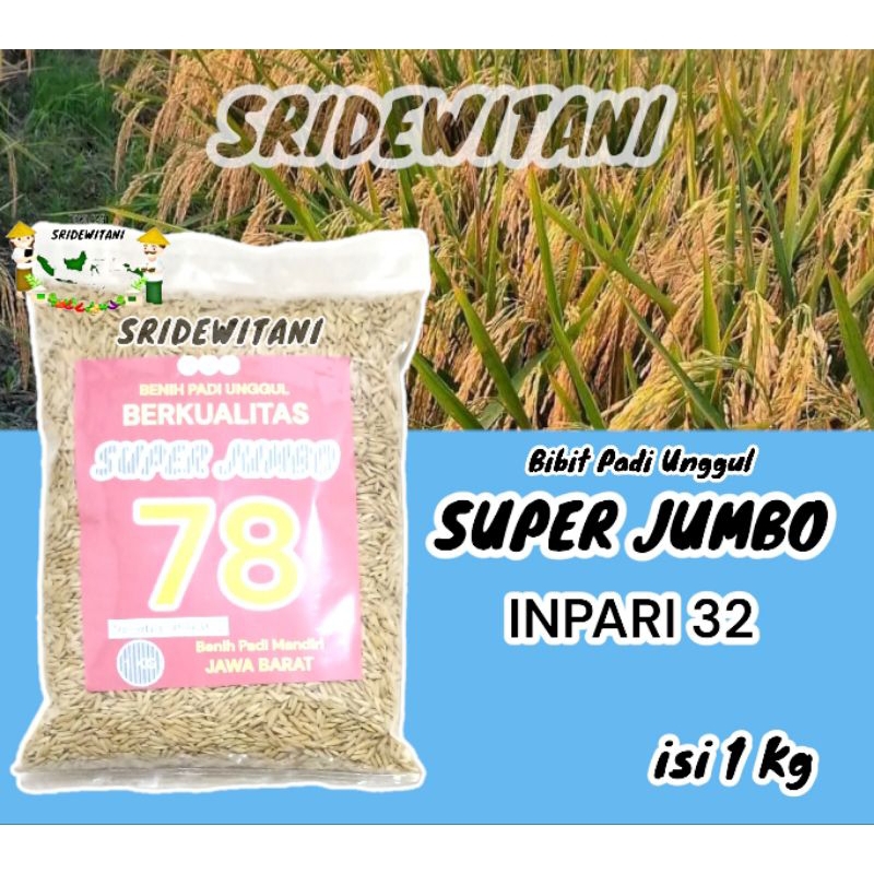Bibit Benih PADI INPARI 32 1 KG Berkualitas Unggul