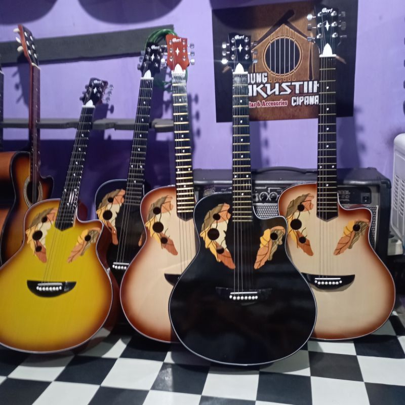 Gitar Ovation/Akustik Elektrik