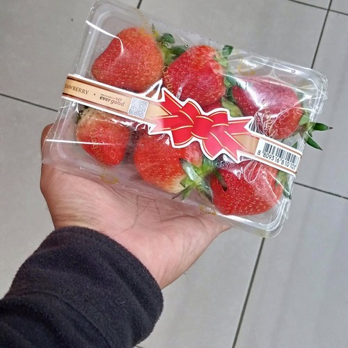

Buah Strawberry Korea Pack 350gr Premium, Ready Stock Delivery Jogja