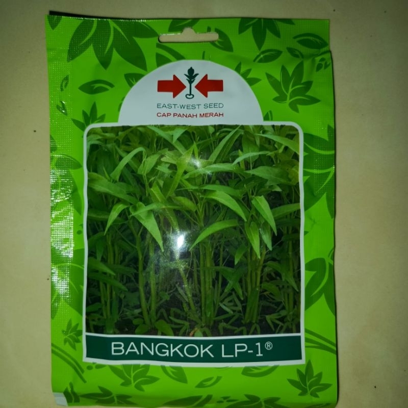 Benih Kangkung BANGKOK LP 1