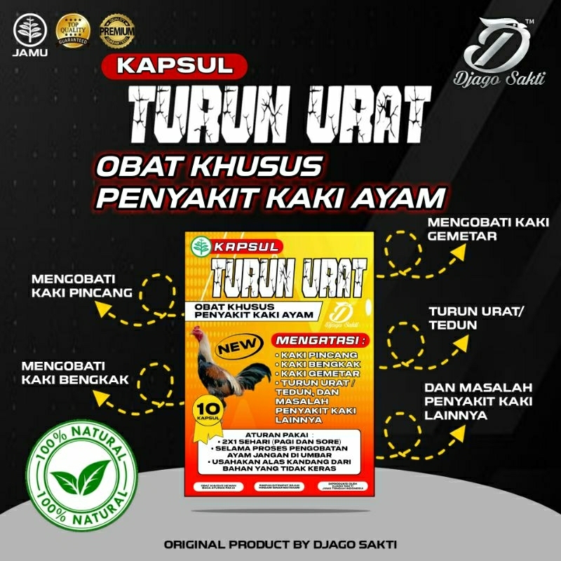 Obat Pincang Turun Urat Ayam (Kemasan Baru)