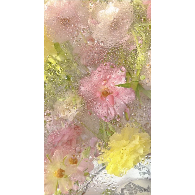 kosmetik korea chacithebabyowl