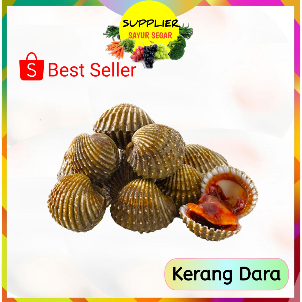 

Kerang Dara / Kulit 1 Kg - Seafood Segar Palembang