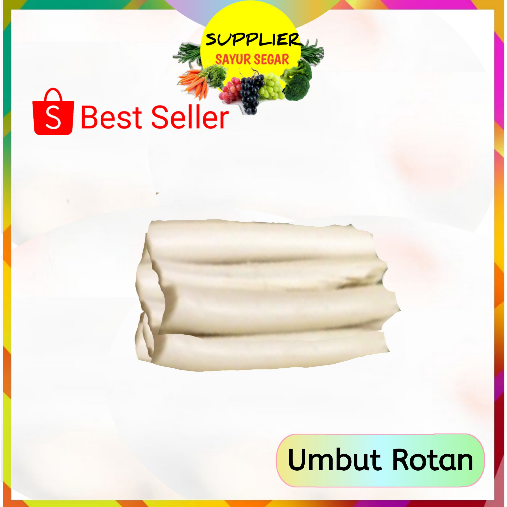 

Umbut Rotan Per Ikat - Supplier Sayuran Segar Palembang