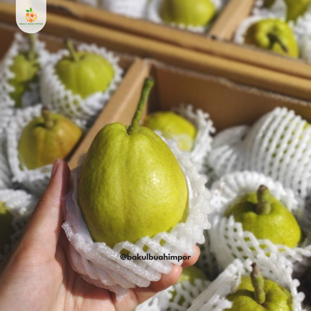 

Pear Xiang Lie Premium [ 1kg ]