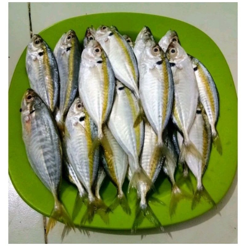

INSTAN IKAN SELAR FRESH