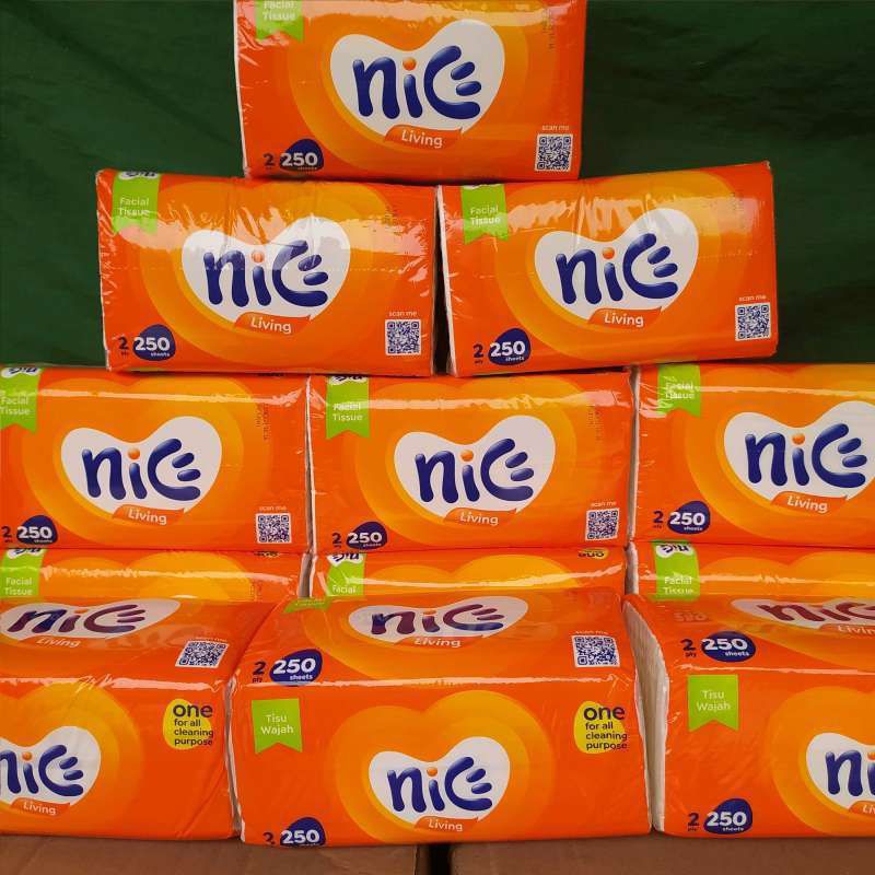 Tisu kering nice 250set