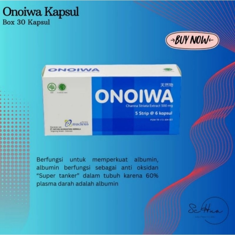 Onoiwa00 kapsul00