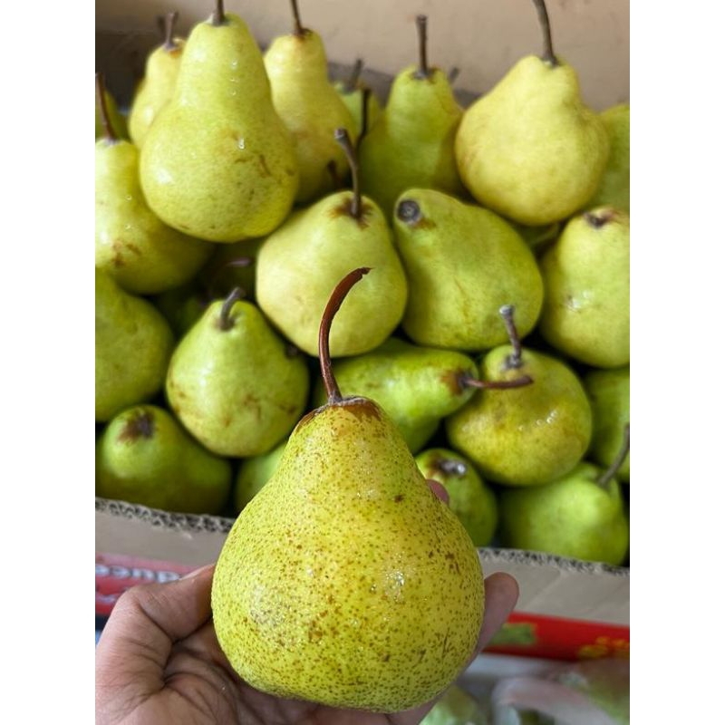 

PEAR PACKAM