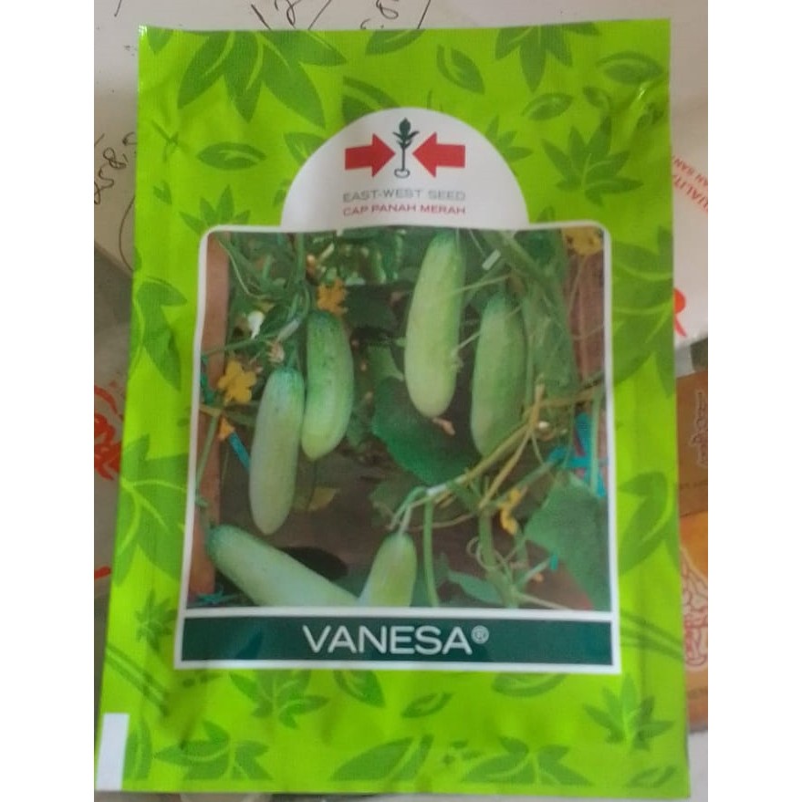 Benih Bibit Timun Lalap  Cap Panah Merah Etha 87 F1 800 Butir/Biji ProdukOriginal