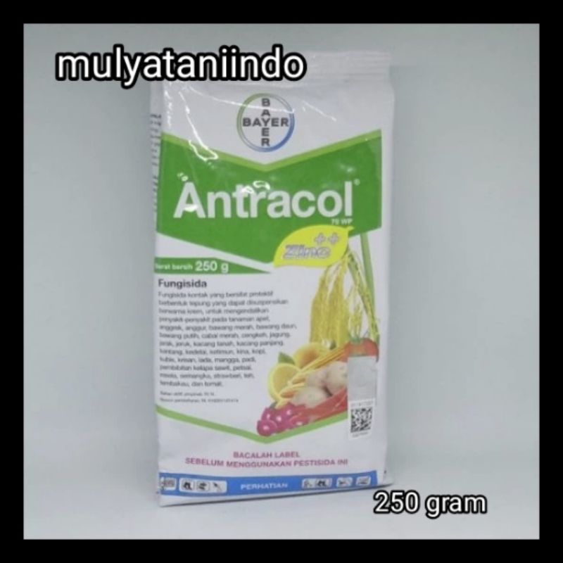 Fungisida antracol 250 gram