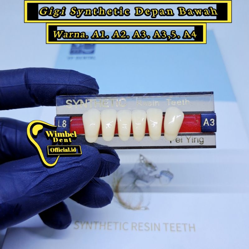 Gigi palsu synthetic Depan Bawah