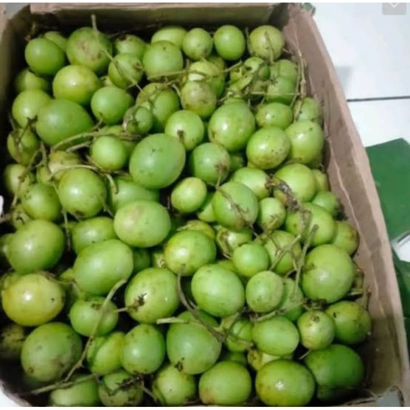 

Buah gandaria 250 gram buah jatake buah langka buah musiman buah ngidam