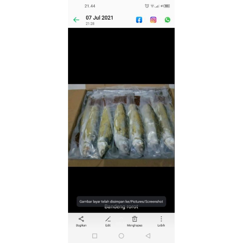 

Bandeng rorot premium