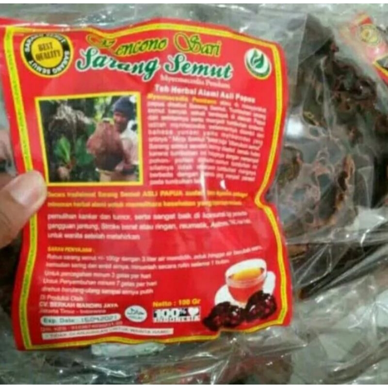 

SARANG SEMUT PAPUA KENCONO SARI 100 GRAM