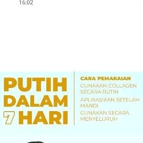 BIBIT COLLAGEN  ORIGINAL