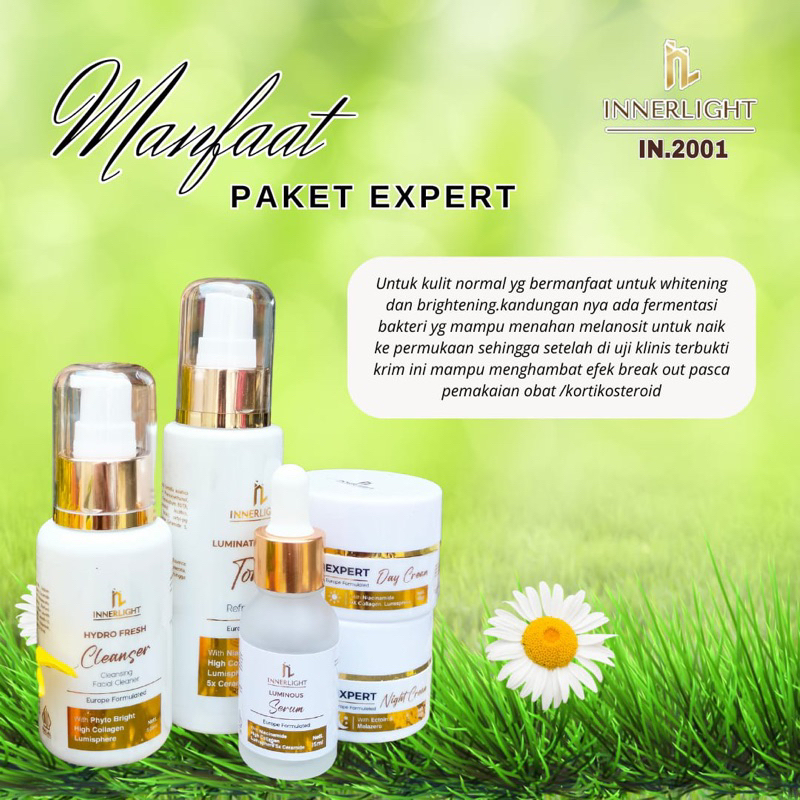 Skincare Innerlight Paket Expert