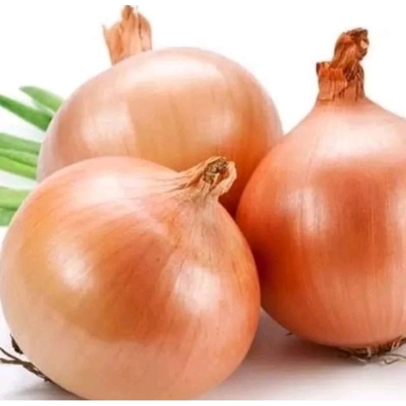 

bawang bombay 1kg