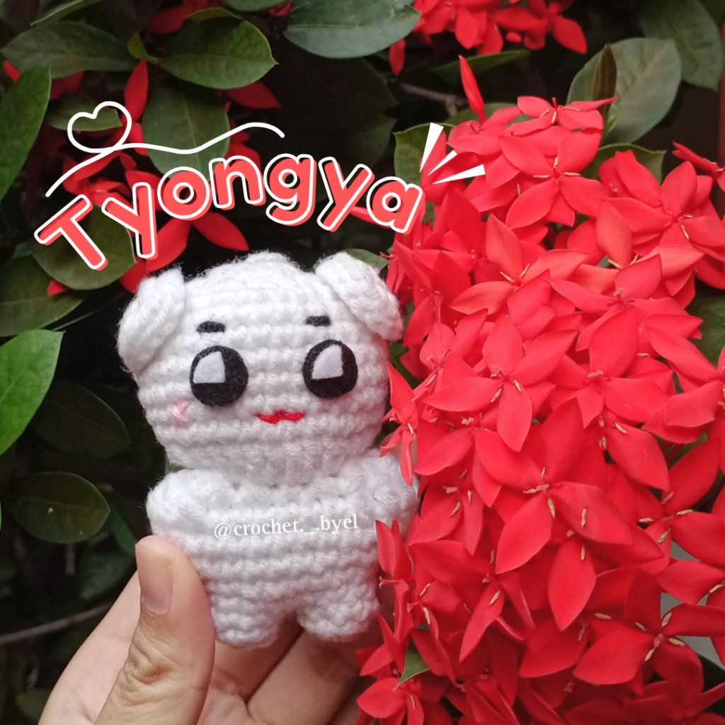 Tyongya crochet doll NCT TAEYONG / 툥야 doll