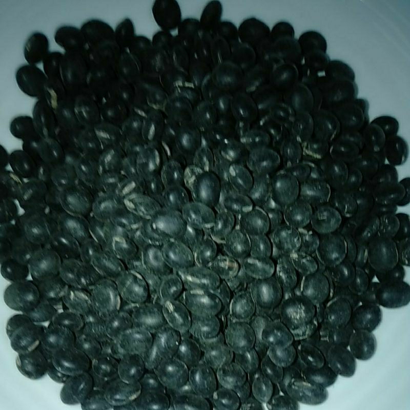 

KACANG KEDELAI / KEDELE / DELE HITAM