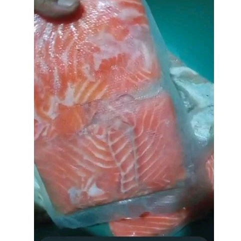 

daging salmon utuh