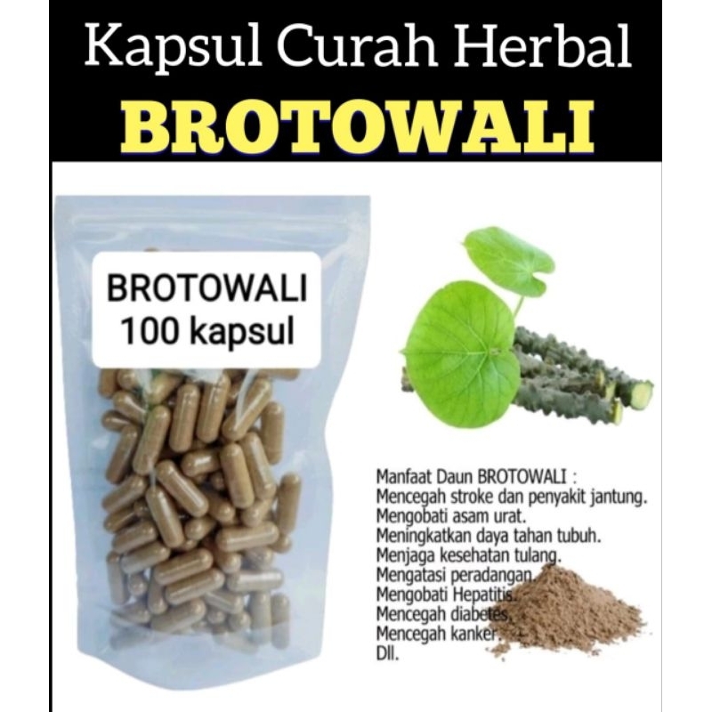 BROTOWALI 100 kapsul Curah Herbal