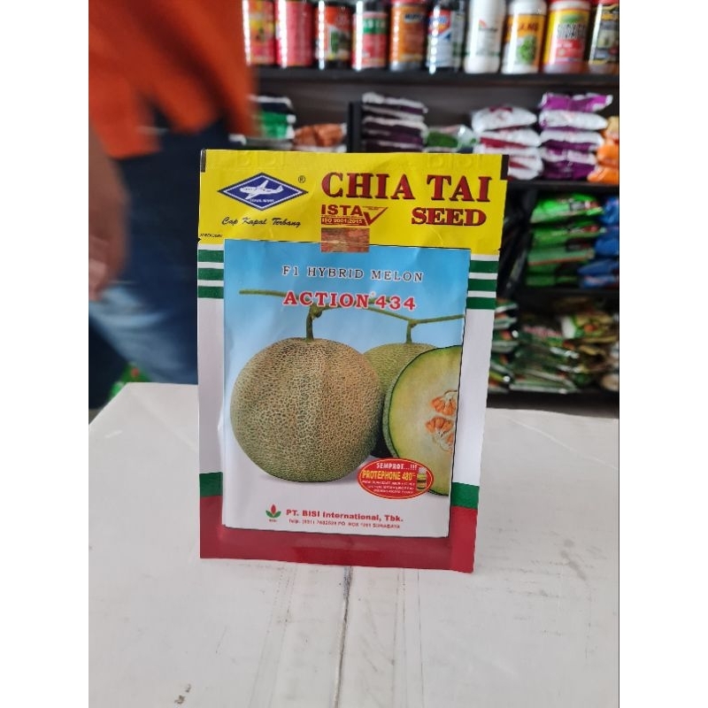 Benih Melon action 434 500 biji