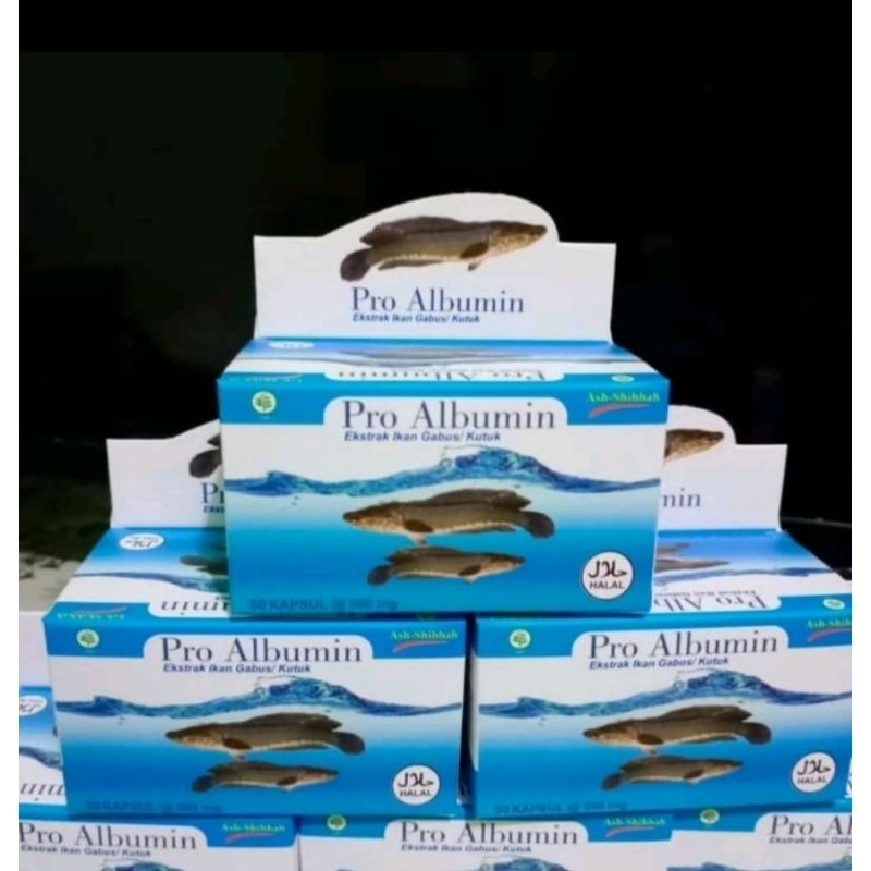 Pro Albumin Kapsul Ikan Gabus/kutuk/albumin
