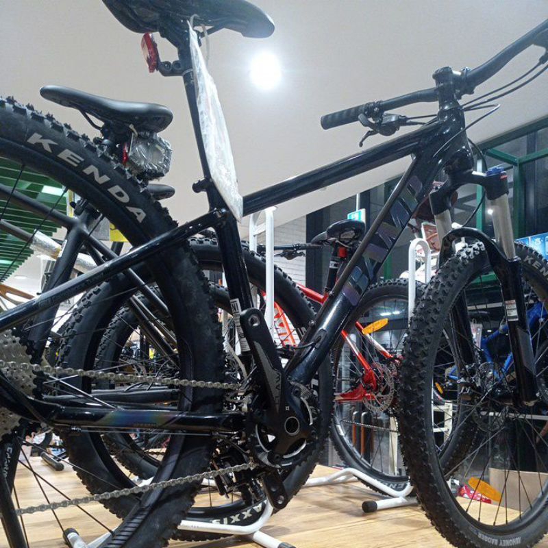 Sepeda MTB CAMP FENIX 3.0