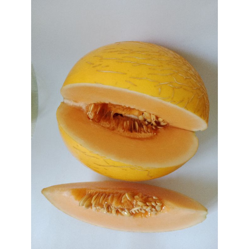 

Buah Melon Premium Golden Melon Kinanti Golden Alisha Melon ekslusif Hidroponik Melon Jepang Sakata Glamour