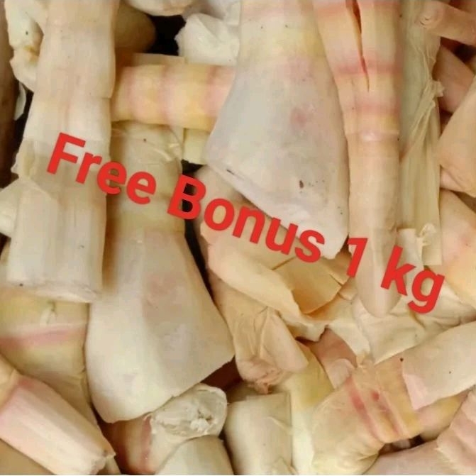 

Rebung Bambu uk 04 Ons + Gratis Bonus