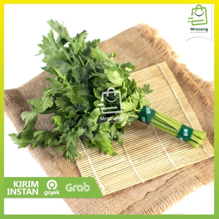 

Seledri Sop Pack - Berat 50gram / Sayur Sayuran Curah