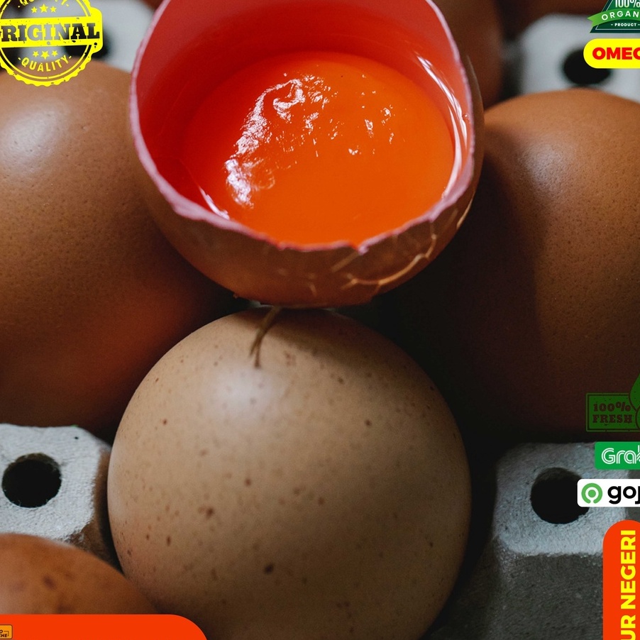 

JQZD43 Penjualan TerbaikCOD Telur Negeri Omega per kg