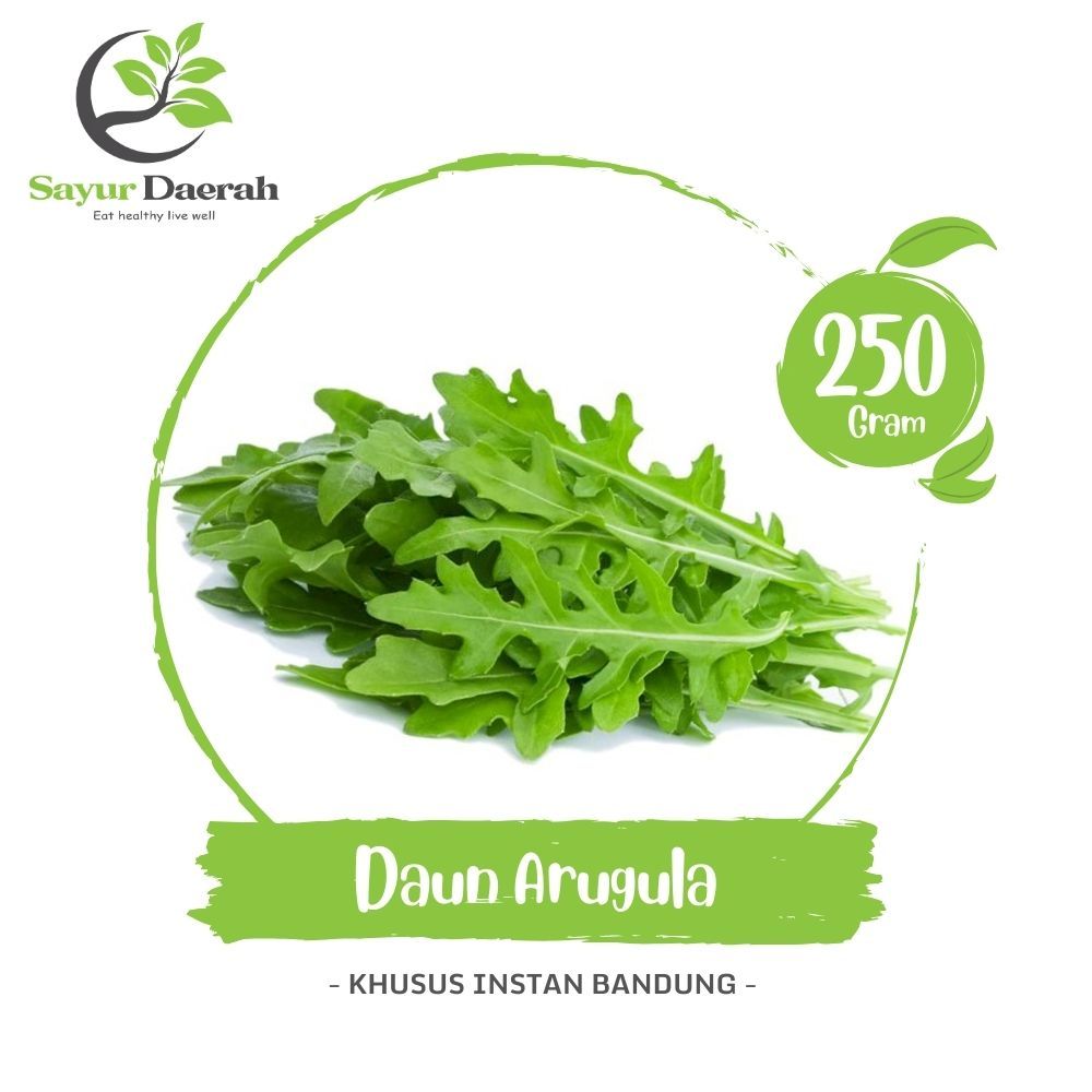 

Daun Arugula Roquette 250 Gr | Sayur Daerah