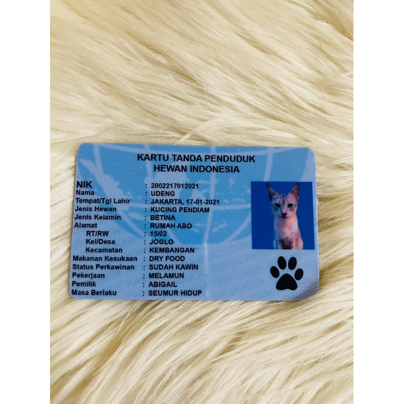 CetakKartu Hewan Peliharaan | ktpHewan |Hewan Peliharaan Kucing, Anjing, Burung dan lainnya