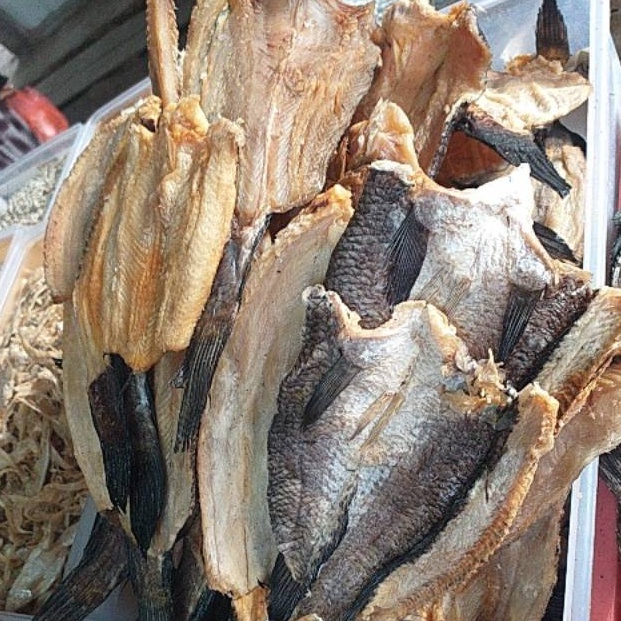 

Ready stock Ikan Asin Gabus 1 gram GI