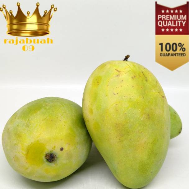 

KWFQ8898 88 Buah Mangga Harum Manis Mangga 1 kg Fresh