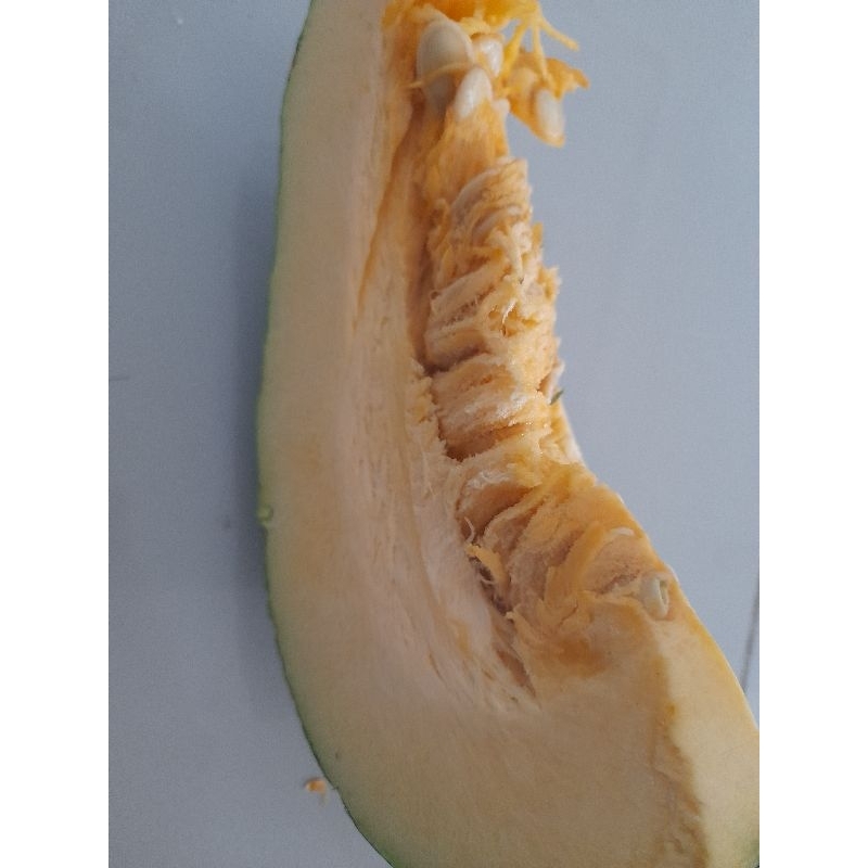 

labu kuning