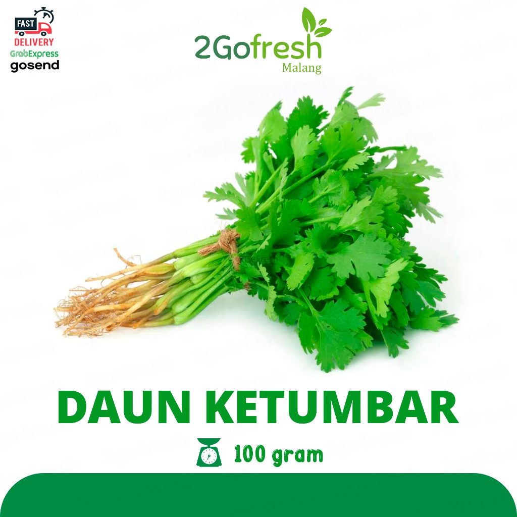 

Daun Wansui / Ketumbar / Coriander / Cilantro Fresh - Sayur Sayuran
