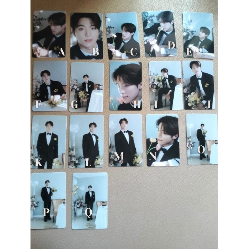 Booklet Dino FML Carver